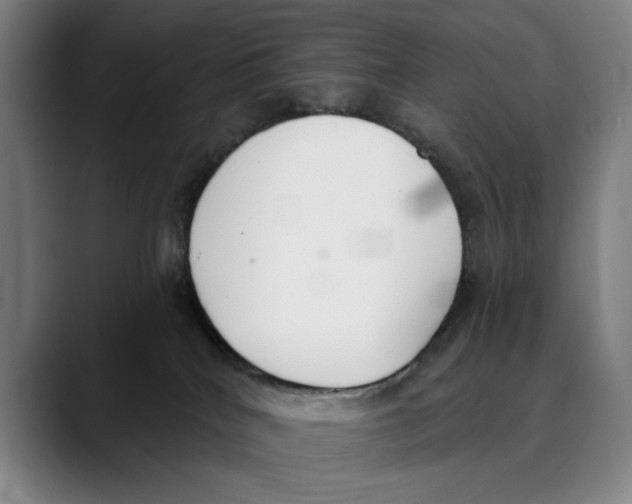 X0000089340040200707131521