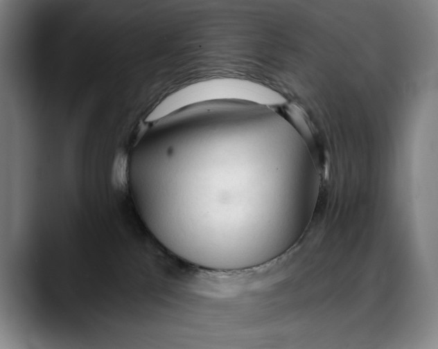 X0000089340041200707131521