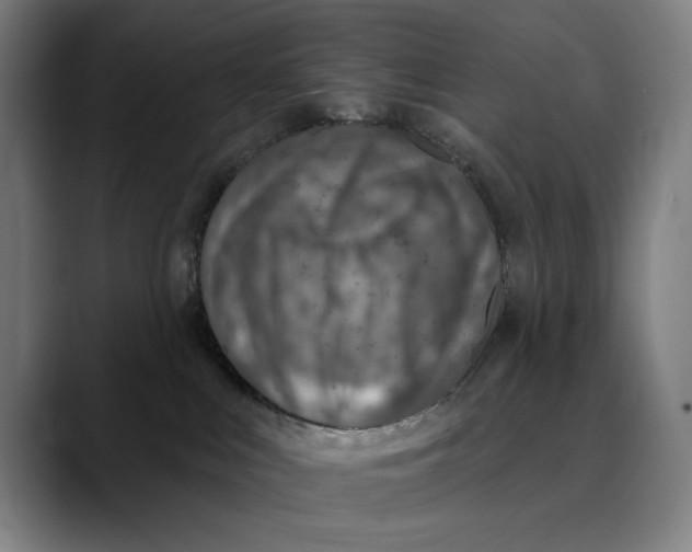 X0000089340043200707131521