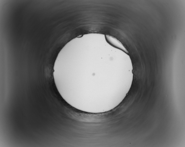 X0000089340044200707131521