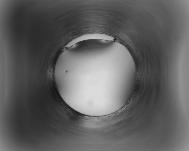 X0000089340045200707131521