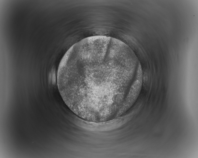 X0000089340046200707131521