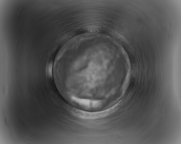 X0000089340047200707131521