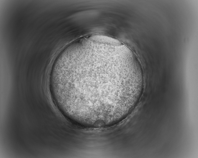 X0000089340049200707131520