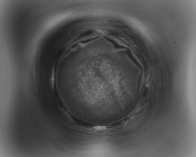 X0000089340052200707131520