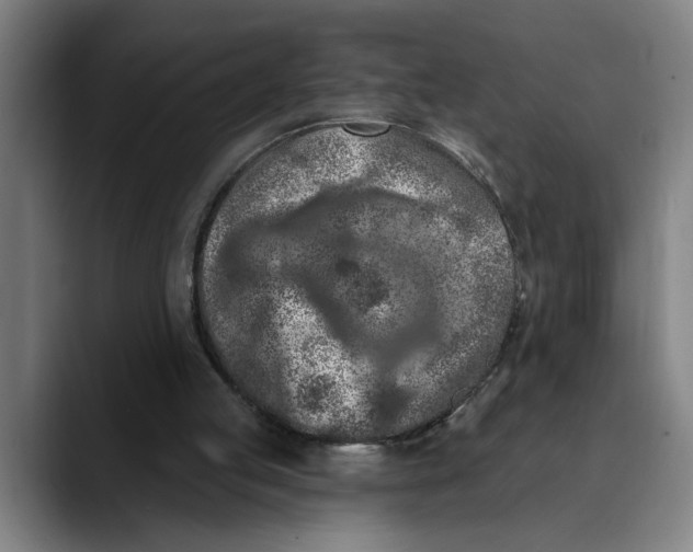 X0000089340053200707131520