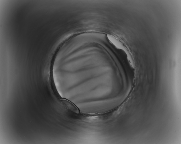 X0000089340054200707131520