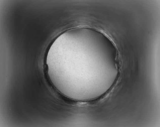 X0000089340055200707131520