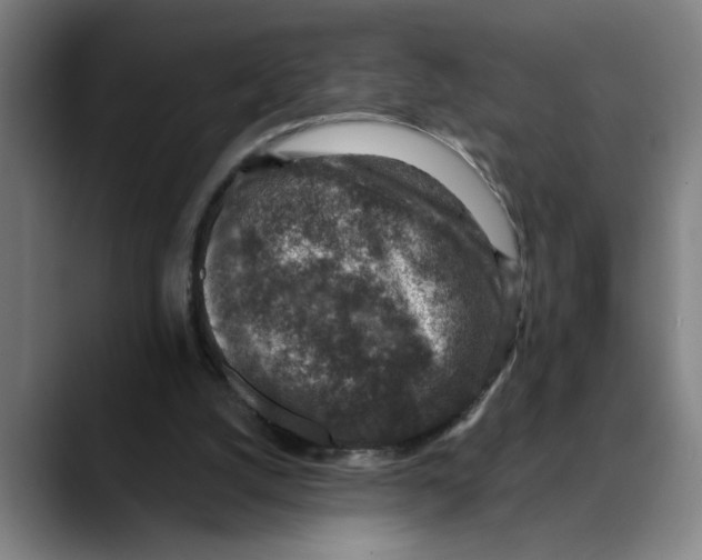 X0000089340056200707131520