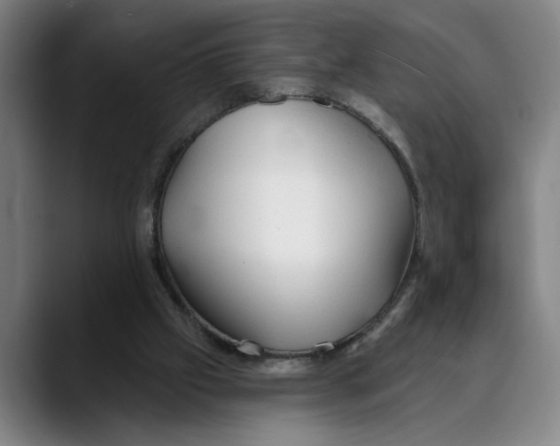 X0000089340057200707131520