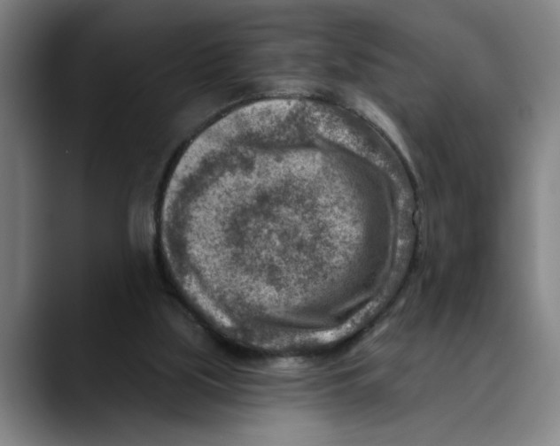 X0000089340059200707131520