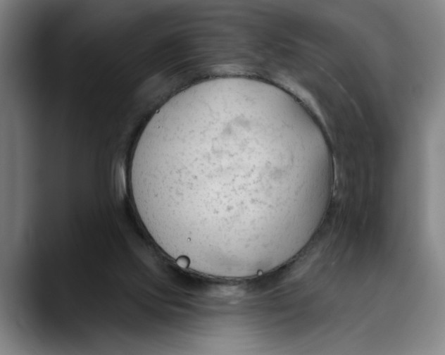 X0000089340061200707131520