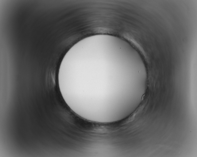 X0000089340062200707131520