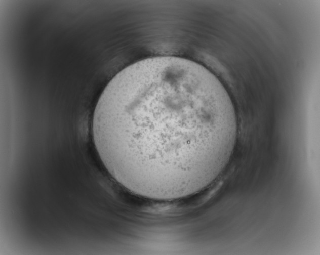 X0000089340065200707131520