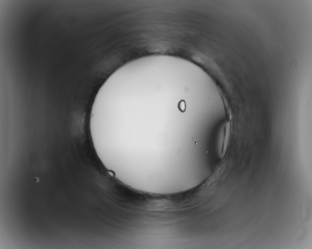 X0000089340066200707131520