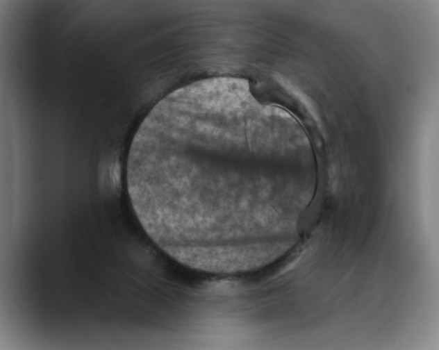 X0000089340067200707131520