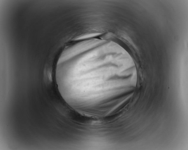 X0000089340068200707131520