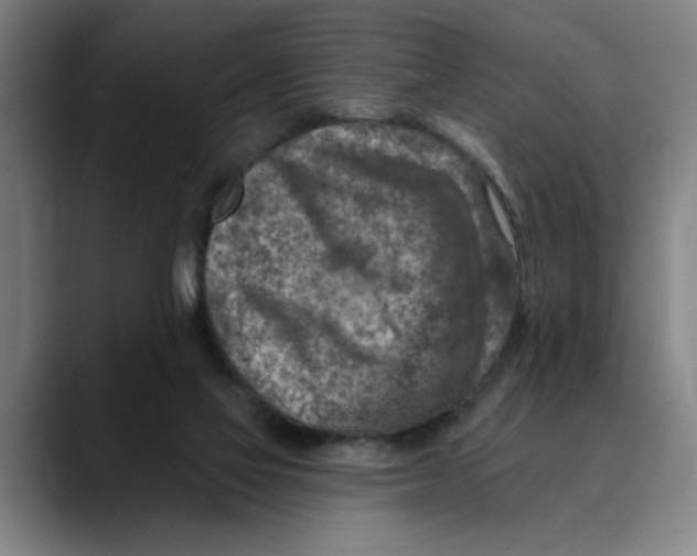 X0000089340069200707131520