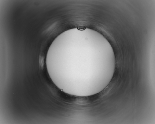 X0000089340070200707131520