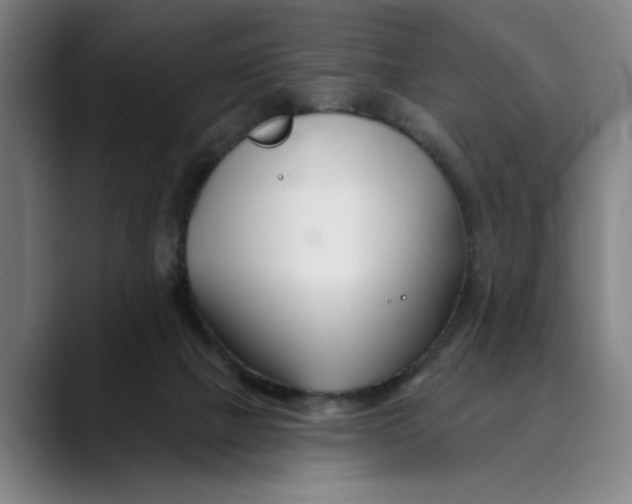 X0000089340073200707131520