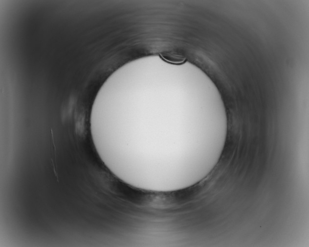 X0000089340074200707131520