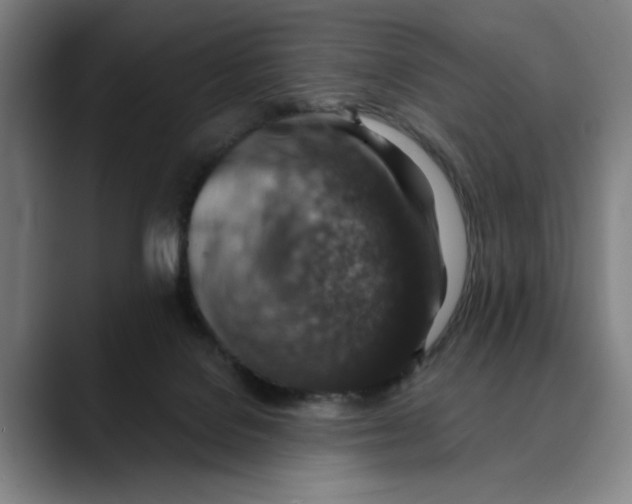 X0000089340076200707131520