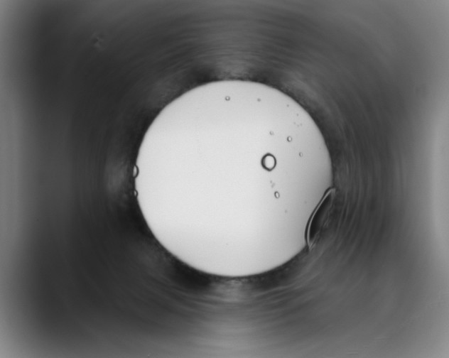 X0000089340079200707131520