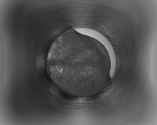 X0000089340080200707131520