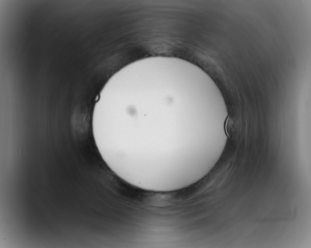 X0000089340081200707131520