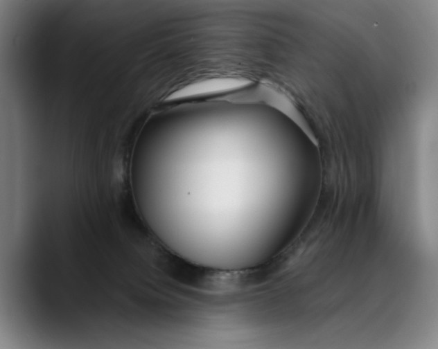 X0000089340084200707131520