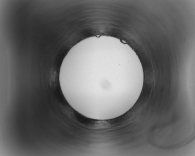 X0000089340087200707131520