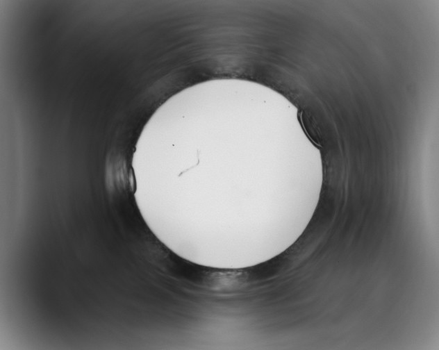 X0000089340089200707131520