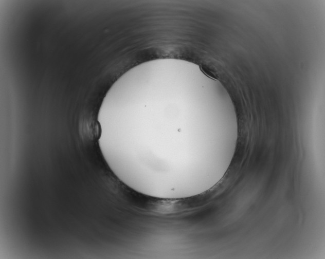 X0000089340090200707131520