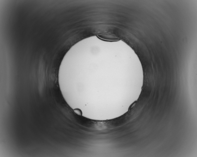 X0000089340091200707131520