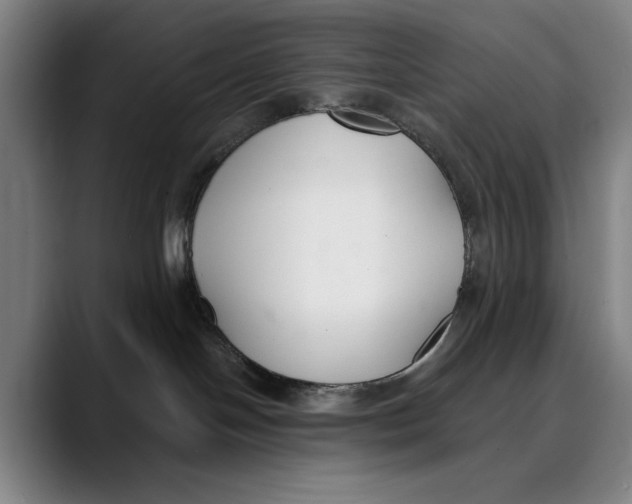 X0000089340094200707131520