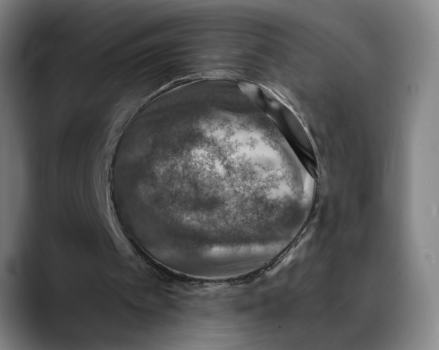 X0000089340097200707131520