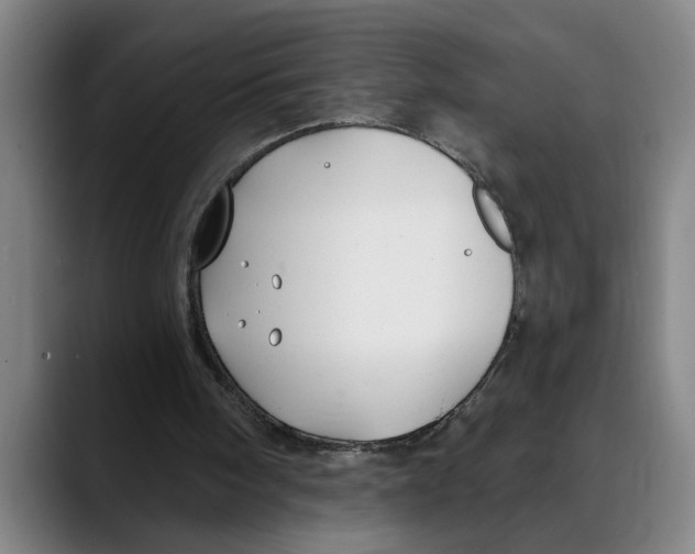 X0000089340098200707131520