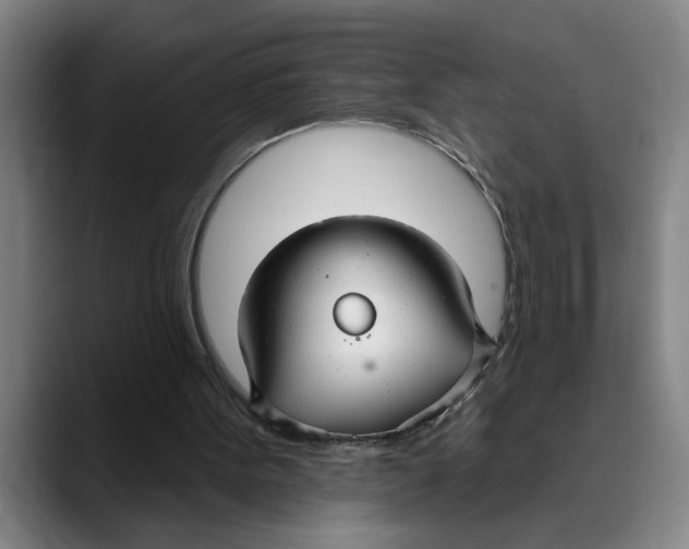 X0000089340099200707131520