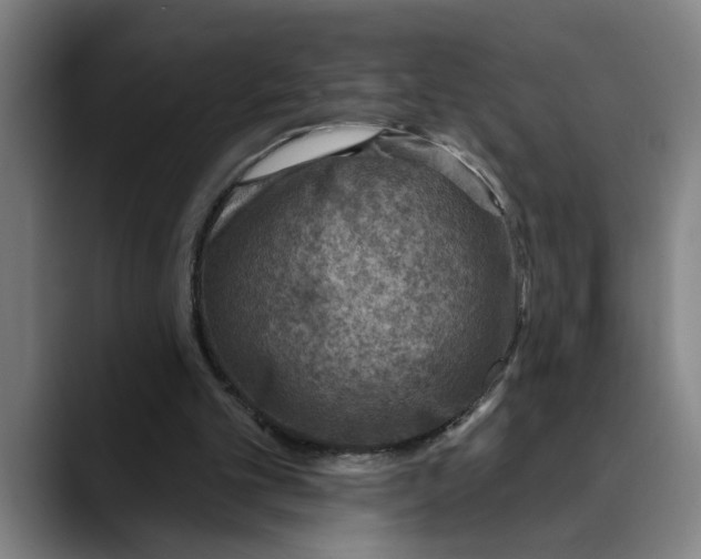 X0000089340101200707131520