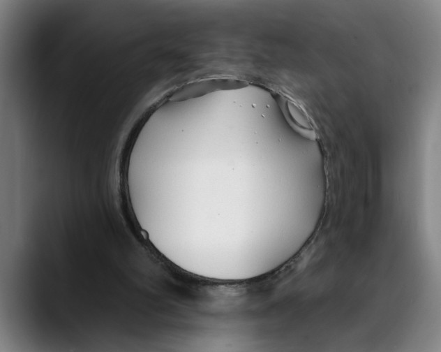 X0000089340102200707131520