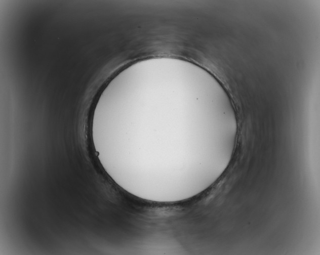 X0000089340103200707131520