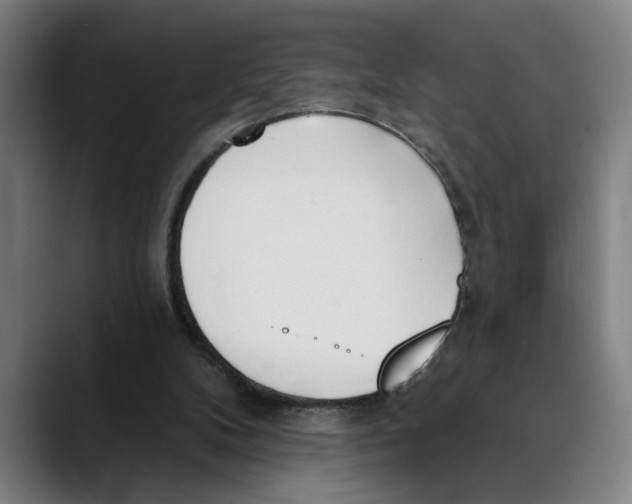 X0000089340104200707131520