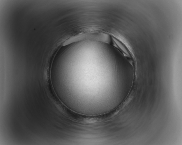 X0000089340105200707131520