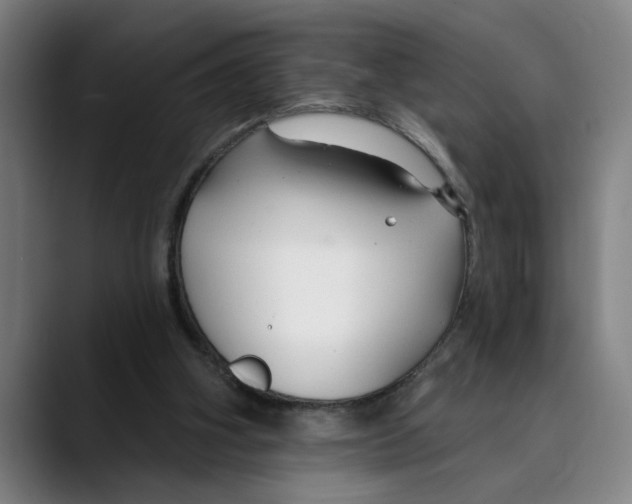 X0000089340106200707131520