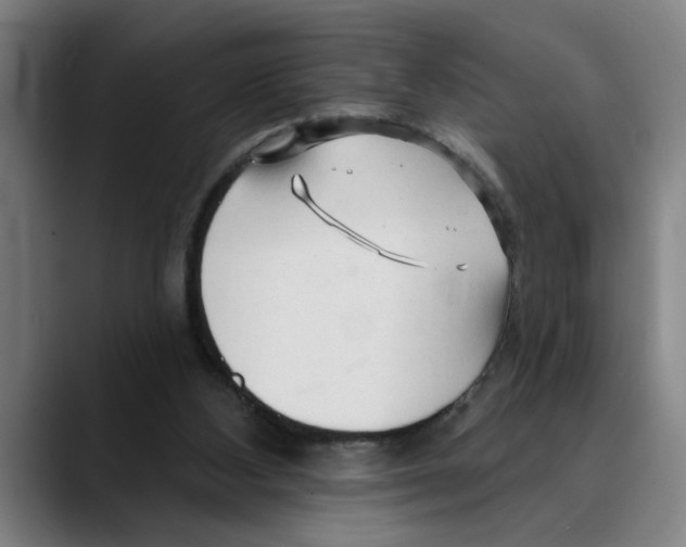 X0000089340108200707131520