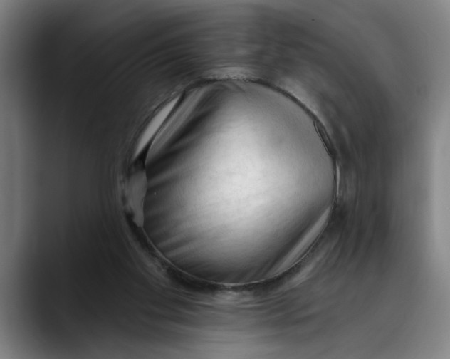 X0000089340109200707131520