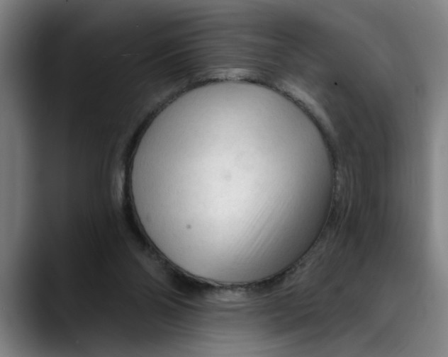 X0000089340110200707131519