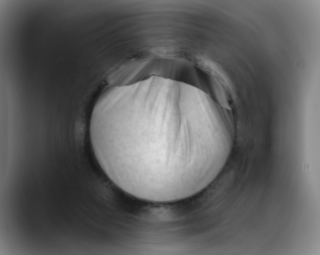 X0000089340113200707131519
