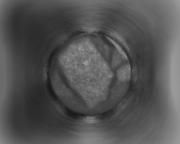 X0000089340114200707131519