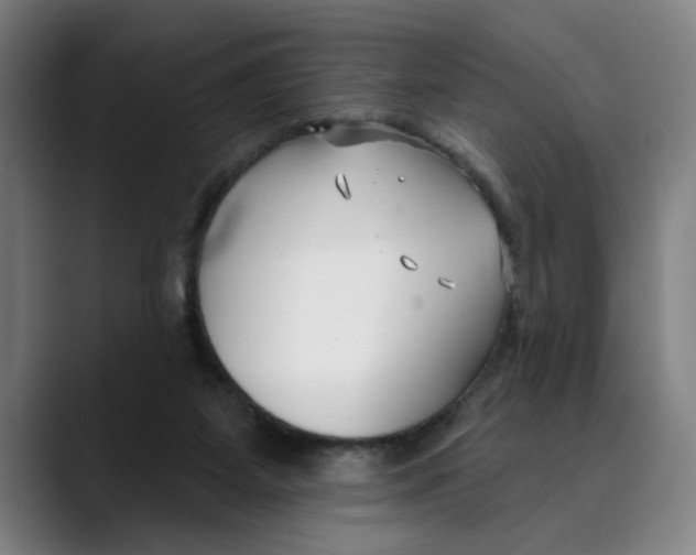 X0000089340115200707131519